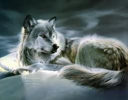 images (6)